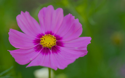 1755919 (a): :2560x1600